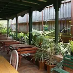 Alishan International Guest House